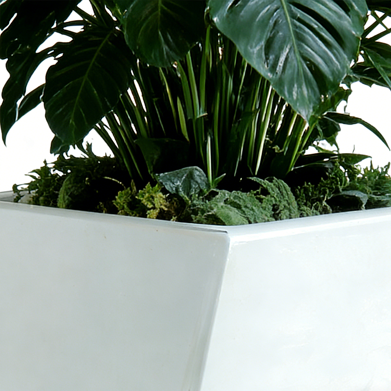 Durable Large Fiberglass Planter for Wholesale Bulk Purchase